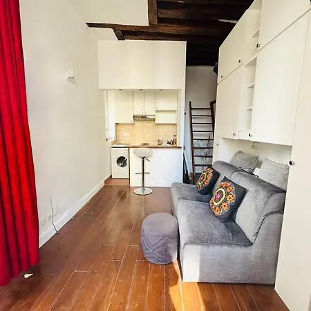 Spacious Loft In The Marais شقة *